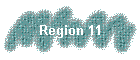Region 11